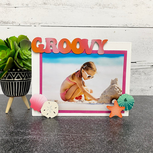 Muscheln und Seestern-Magnete (4-er Set)