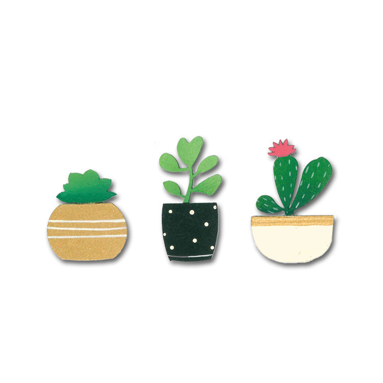 Succulent magnets, set of 3