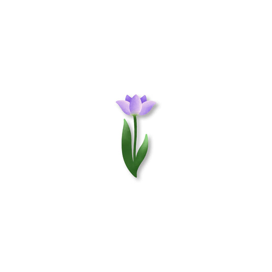 Daffodils - magnet, purple